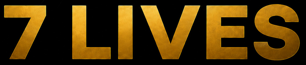 7 Lives Game